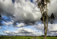 AG米兰体育：[图]詹姆斯里程碑之夜30+8浓眉18+19 复仇老鹰.