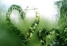 [天下足球]凯恩戴帽 拜仁大胜荷尔斯泰因基尔.