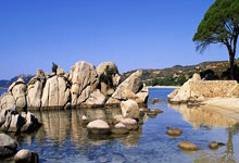 AG米兰体育：CBA四强之争：辽宁4队赢球就晋级？赵继伟望逆袭，高诗岩有点惨.